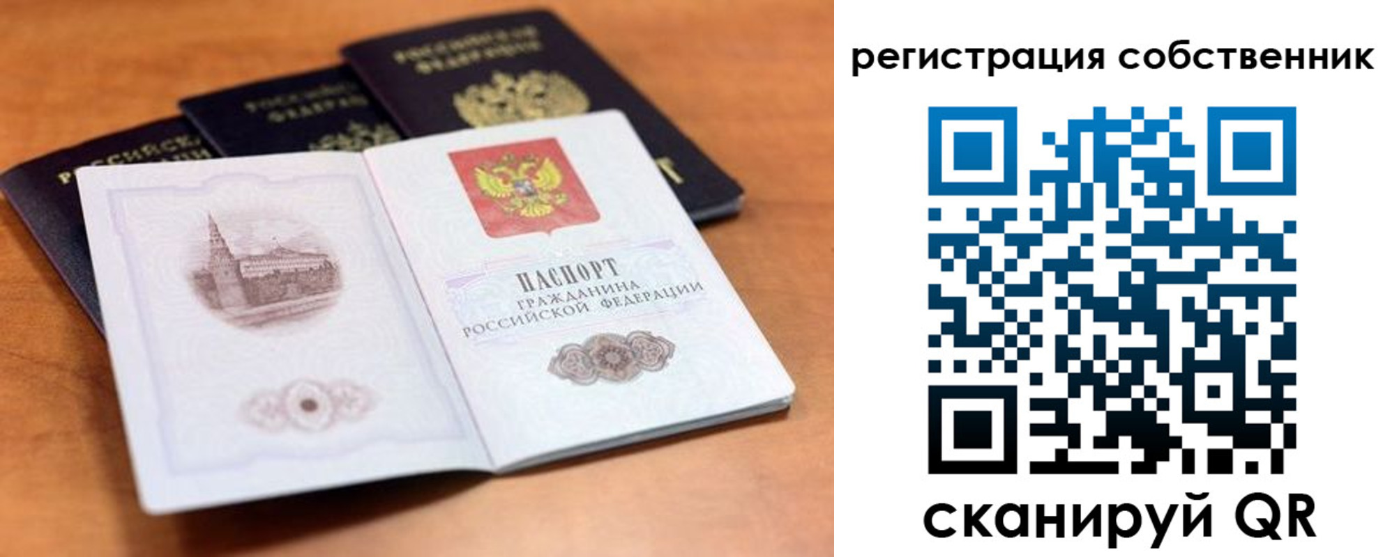 прописка поиск в Гагарине